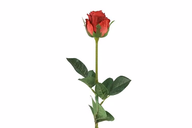 Countryfield zijden roos rood 70 cm