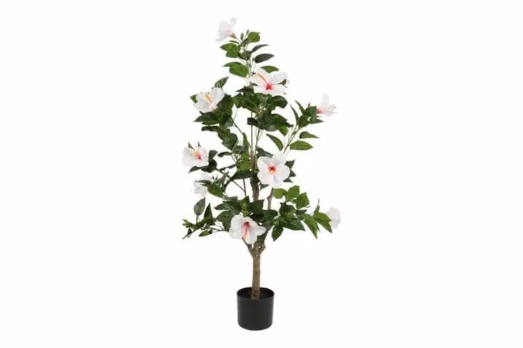Countryfield zijden Hibiscus plant met witte bloemen, 120 cm
