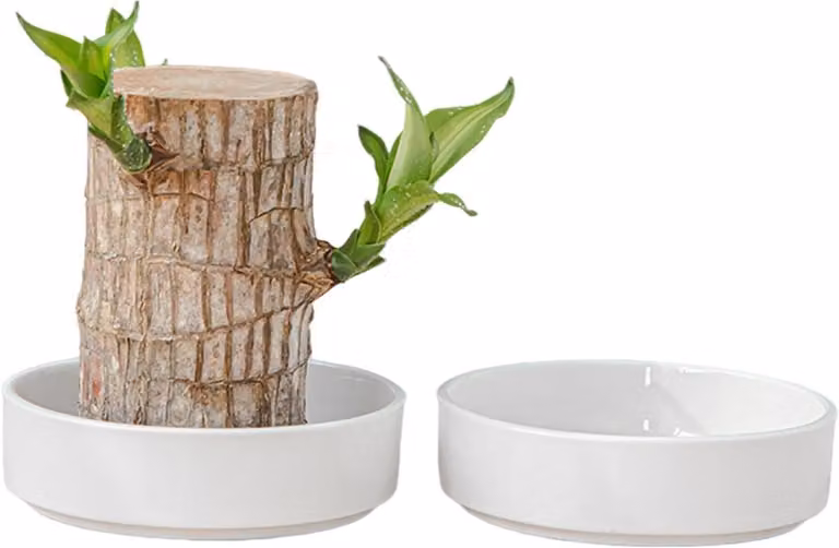 Meerkleurige plantenonderzetter van keramiek en hout, B/D/H: 105 x 105 x 3 cm