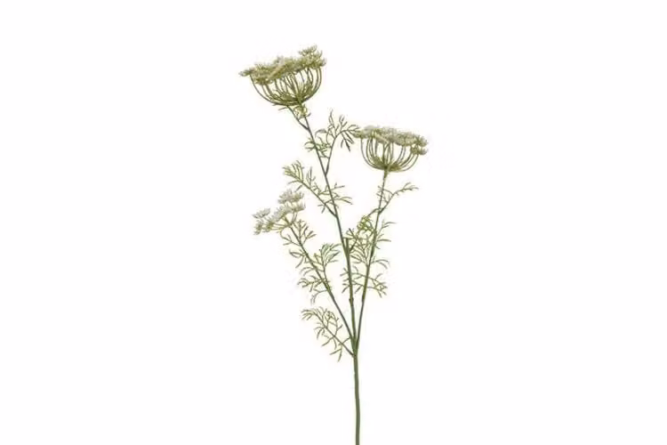 Countryfield Anethum zijden bloem wit 87 cm