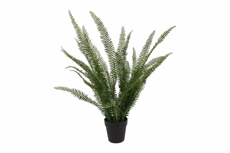 Countryfield zijden Nephrolepis plant groen, 75 cm