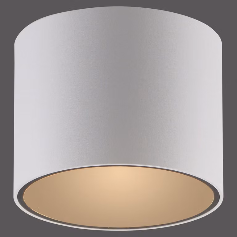 Paul Neuhaus Pure Point LED opbouwspot wit, IP44, Ø 11 cm