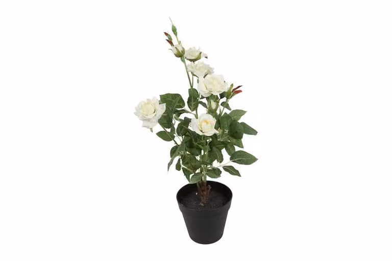 Countryfield zijden Camellia kunstplant wit, 50 cm