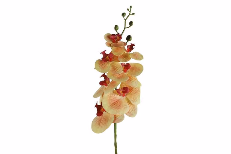 Countryfield zijden Phalaenopsis bloem oranje 83 cm
