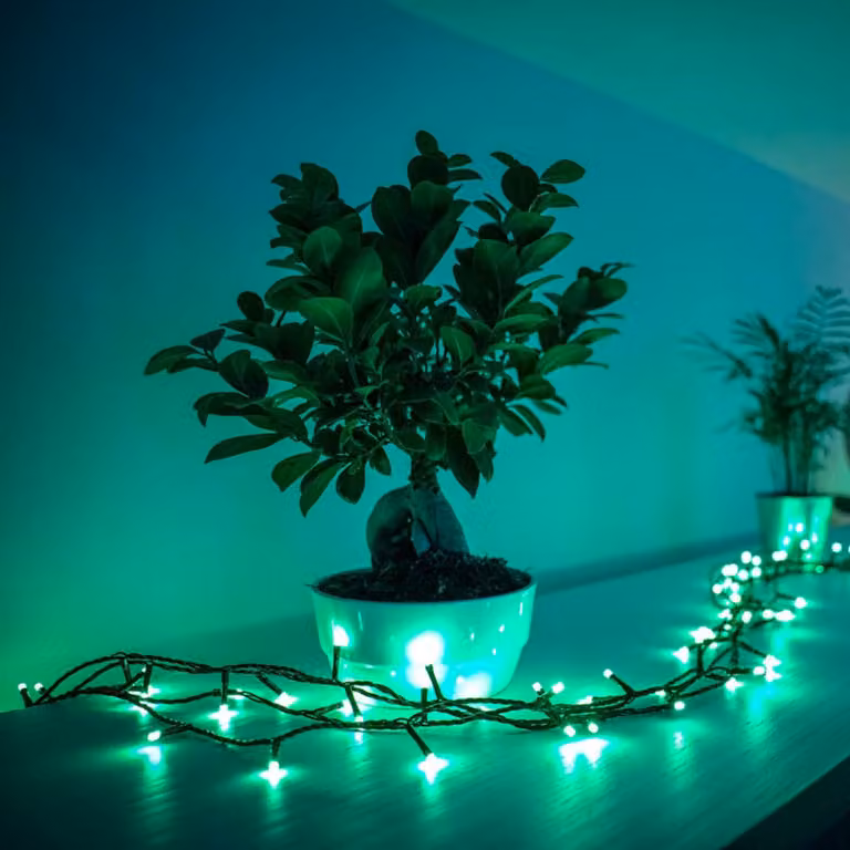 Twinkly RGB LED lichtketting met 250 lampjes, zwart, 20m, dimbaar en wifi