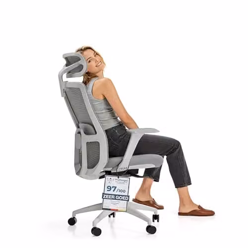 Desktronic SitOne Ergonomische Bureaustoel met 4D Lendensteun en Armleuningen, Grijs