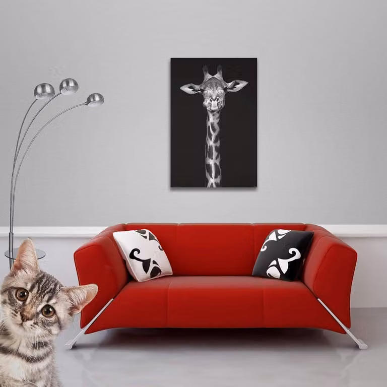 Poster met lijsten Dierportret afdruk Wanddecoratie met magnetische sluitingen Zwart B: 61 cm, H: 91.5 cm