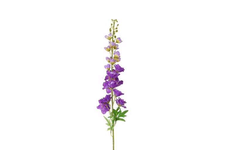 Countryfield zijden Delphinium Pacific XL bloem paars, 103 cm