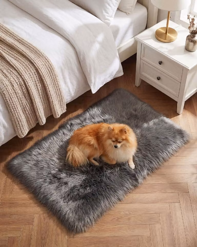 Grijs Vloerkleed met Antislip Achterkant voor Woonkamer of Slaapkamer, 60 x 90 cm