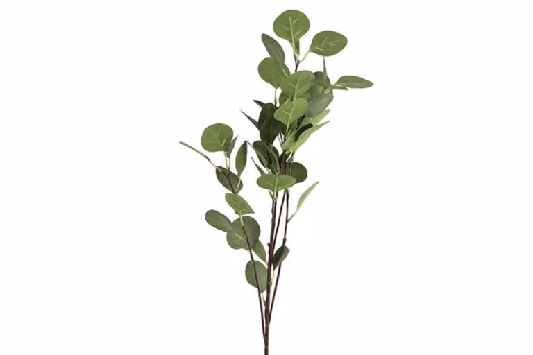 Countryfield zijden tak Eucalyptusblad groen, 90 cm