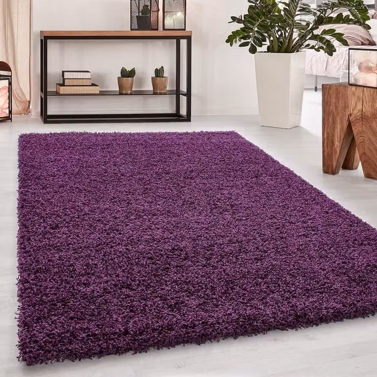 Hoogpolig Vloerkleed Lila - Modern Rechthoekig Tapijt van Polypropyleen - 60 x 110 cm