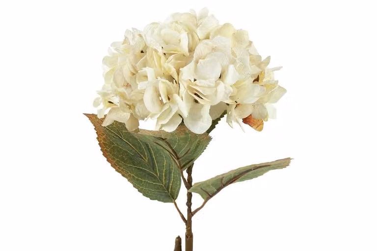 Countryfield zijden hydrangea wit 64 cm