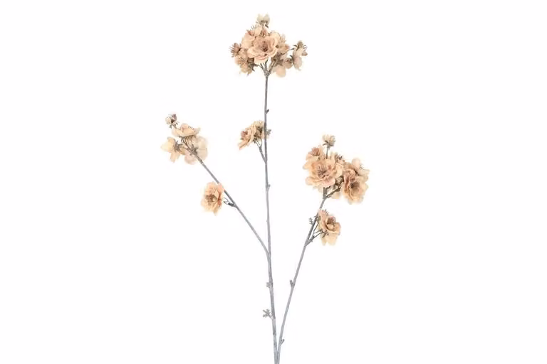 Countryfield zijden Prunus serrulata beige 83 cm