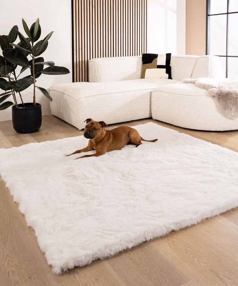 Comfy Deluxe Fluffy vloerkleed vierkant wit 160 x 160 cm