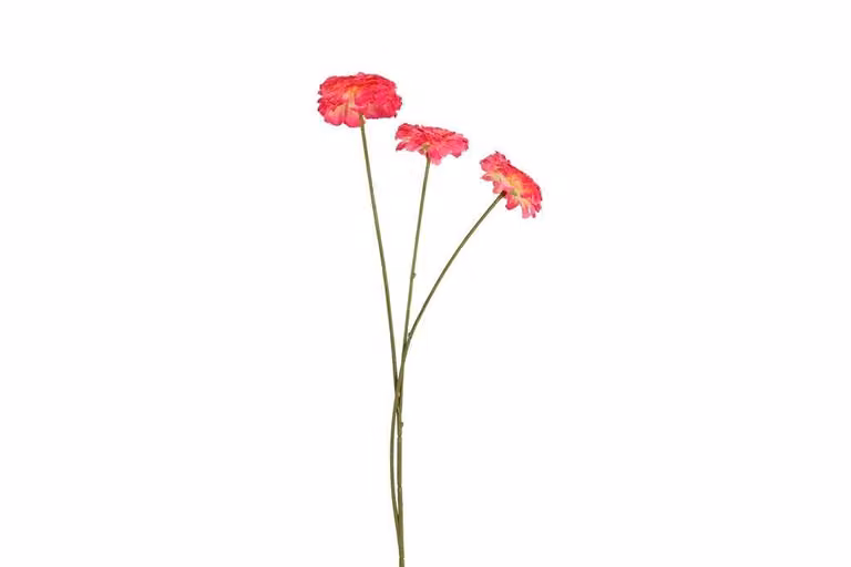 Countryfield zijden Zinnia bloem roze, 60 cm