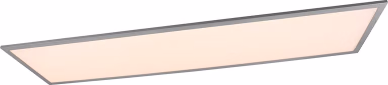 Reality Leuchten Gamma LED-plafondlamp met afstandsbediening, grijs, B/D/H: 120 x 30 x 9,5 cm