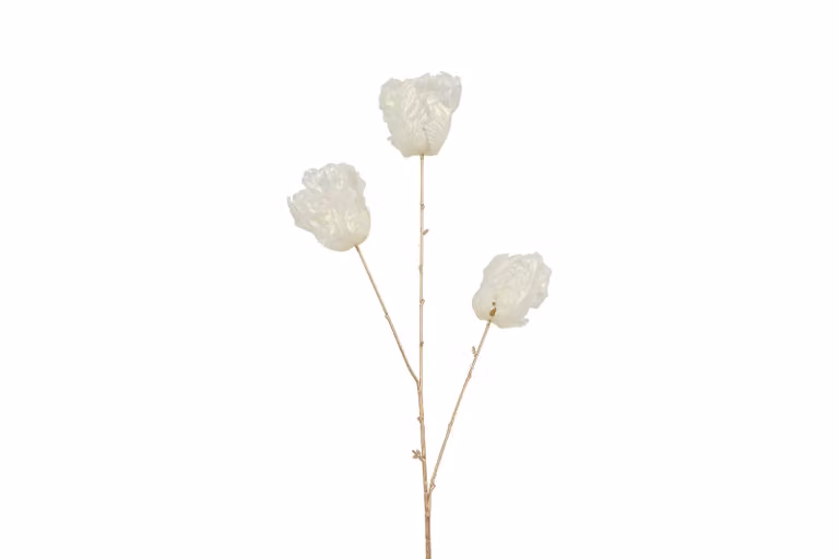 Countryfield zijden tulp wit glans 85 cm