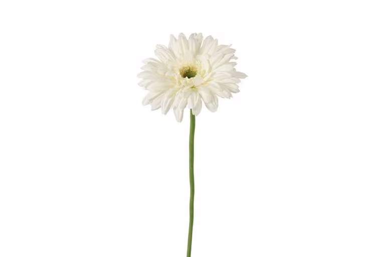 Countryfield zijden gerbera Leanne wit 60 cm