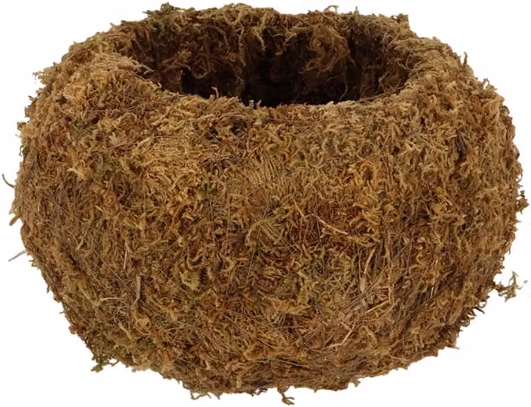 Mosbal Plantenhouder Kokedama Bol Groen - Diameter 20 cm