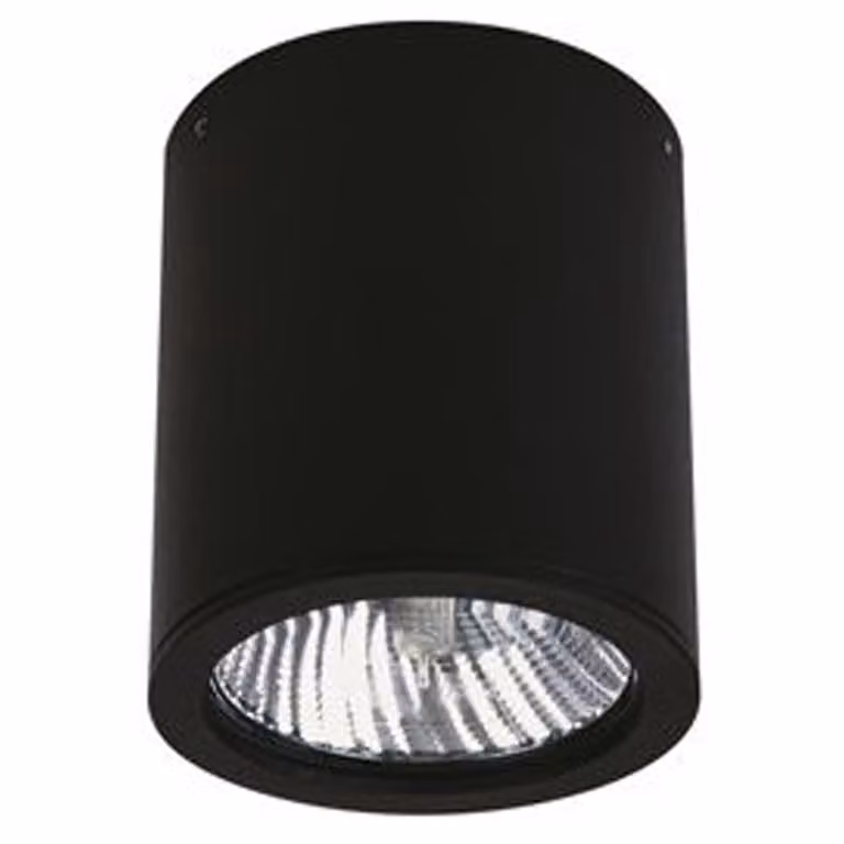 Albert Yori LED Plafondverlichting voor buiten - Zwart - 12W