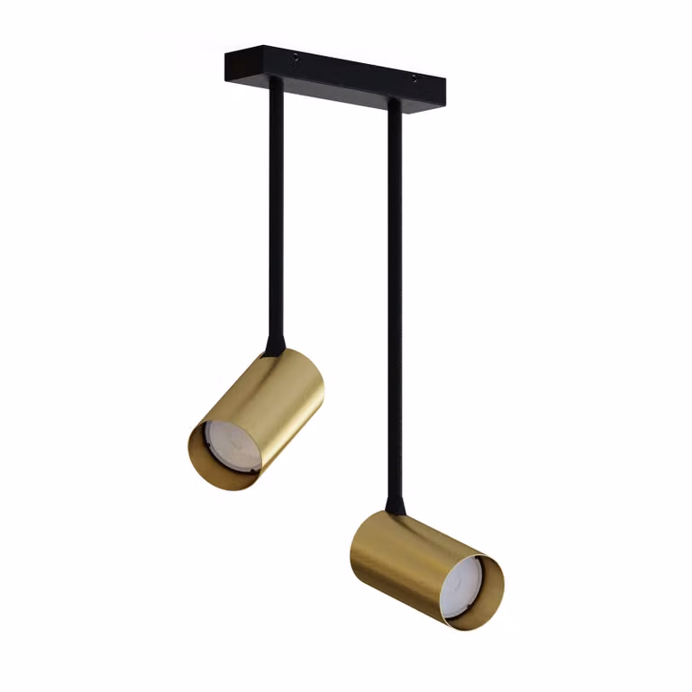 Lyora Mono Long 2-lichts opbouwspot in goud/messing