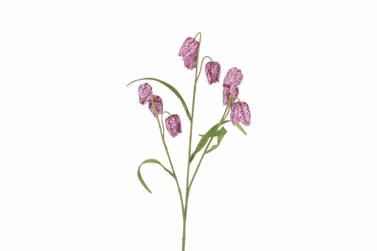 Countryfield zijden bloem Fritullaria paars, 70 cm