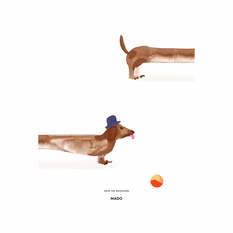 Paper Collective Doug the Dachshund poster 50 x 70 cm