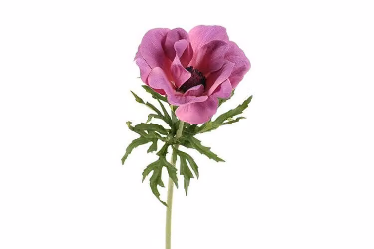 Countryfield zijden bloem Anemone lila, Hoogte: 52 cm