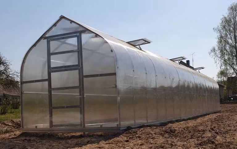 Baumera Kas KLASIKA STANDART 20 met fundering, 4 mm polycarbonaat en automatische dakluiken, 2,5 x 8 m
