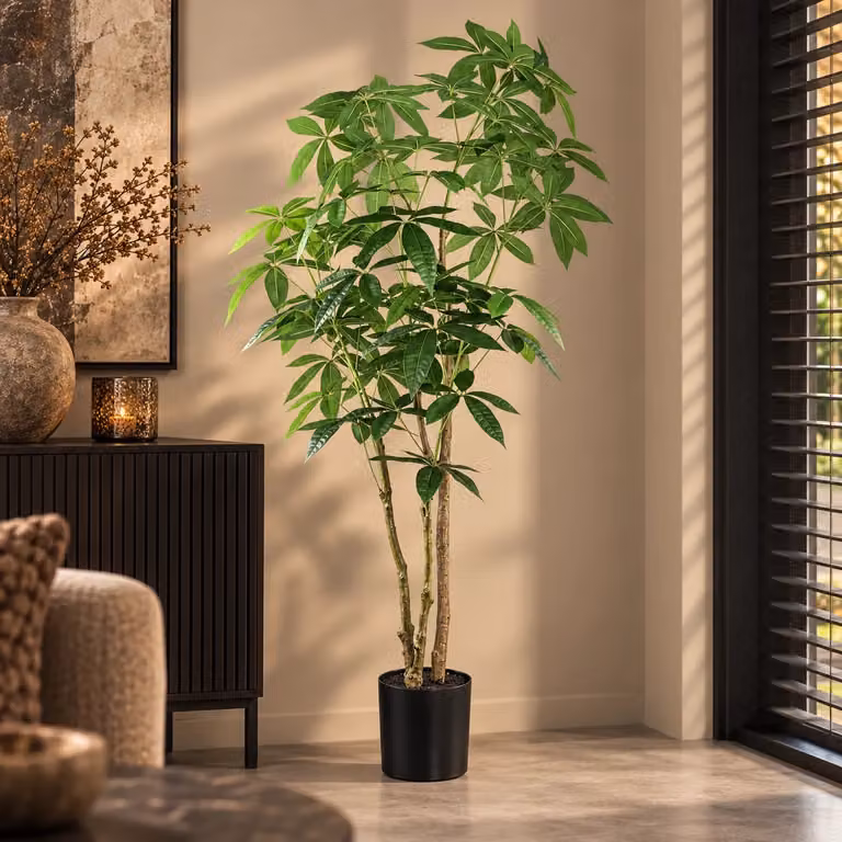 PTMD Geldboom in groene kleur met zwarte plastic pot, Hoogte: 150 cm, Breedte: 65 cm, Diepte: 65 cm
