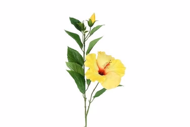 Countryfield zijden Hibiscus geel 70 cm