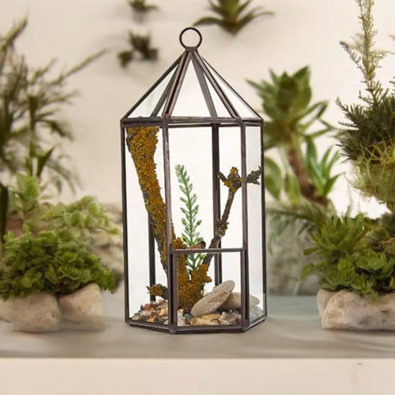 Ancient Wisdom hangend glazen terrarium lantaarn