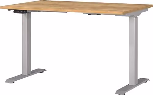 Germania elektrisch in hoogte verstelbaar bureau in eiken en zilver, B/D/H: 120 x 120 x 80 cm