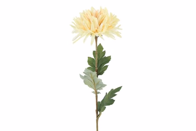 Countryfield zijden Chrysanthemum Vienna creme 68 cm