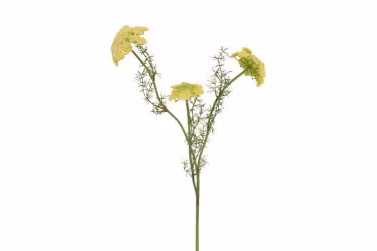 Countryfield zijden bloem Ammi geel 73 cm