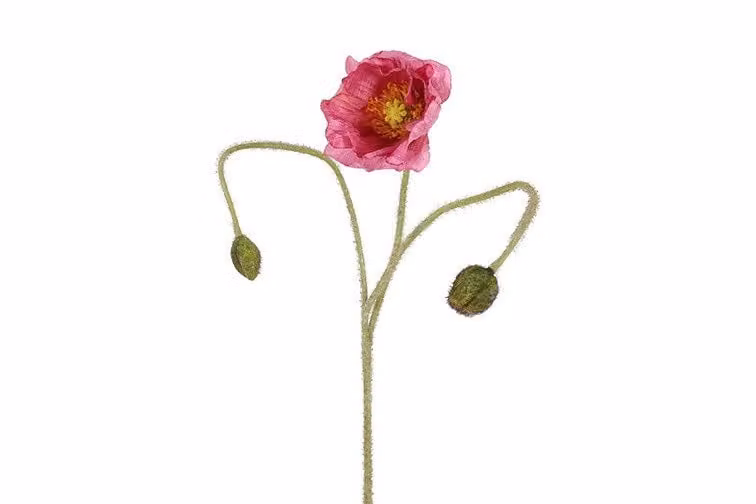 Countryfield zijden Papaver lila 83 cm
