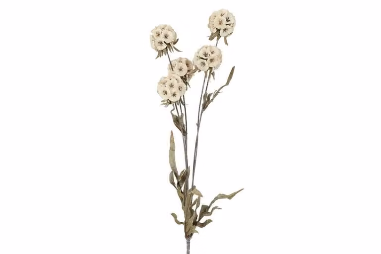 Countryfield zijden Scabiosa creme 81 cm