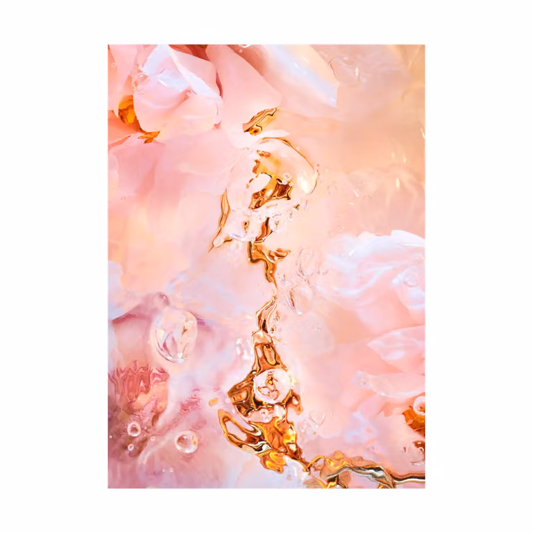 Paper Collective Flora Aquatica 02 illustratie poster B: 70 cm, H: 100 cm