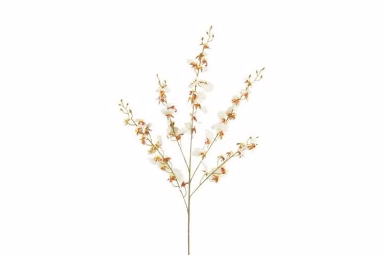Countryfield zijden Phalaenopsis bloem crème 90 cm