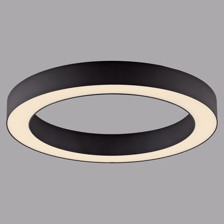 Paul Neuhaus Pure Lines Round LED plafondlamp - Grijs - Ø 35 cm