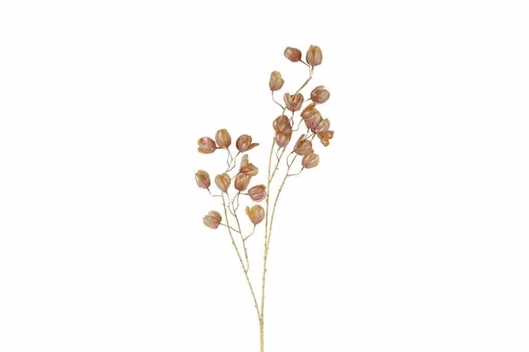 Countryfield zijden bloem abutilon goud, 104 cm