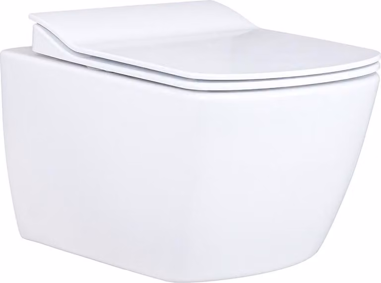 Creavit Design Hangtoilet met geïntegreerde douchebruser in roestvrij staal, wit