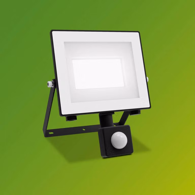 Philips Lois UE LED-buitenspot met sensor, 14 W, 5.000 K, IP65, zwart, Aluminium