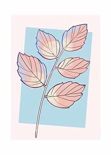 Komar Cinderella Plant Poster - Multicolour - 50 x 70 cm