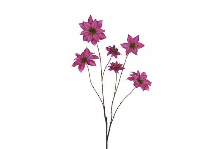 Countryfield zijden Clematis bloem lila 113 cm
