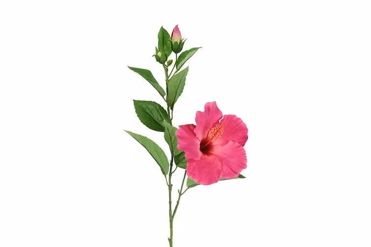Countryfield zijden Hibiscus fuchsia 70 cm