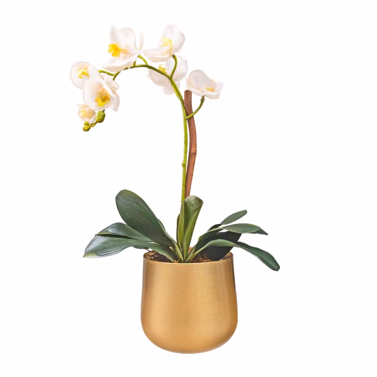 QUVIO Gouden bloempot van metaal voor op tafel, ø17 x 15 cm, Goud