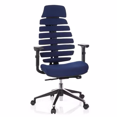 hjh OFFICE Ergo LINE II PRO ergonomische bureaustoel met lenden- en hoofdsteun, blauw