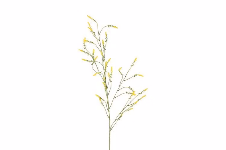 Countryfield zijden tak Melilotus geel, Hoogte: 115 cm