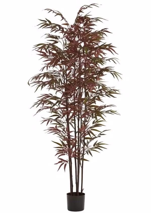 Light en Living Ornament in pot BAMBOO naturel groen rood B: 70 cm, D: 60 cm, H: 180 cm